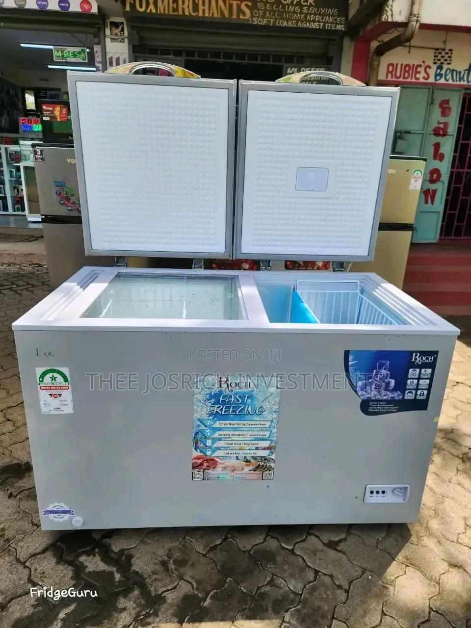 380 Litres Roch Deep Freezer Double Door