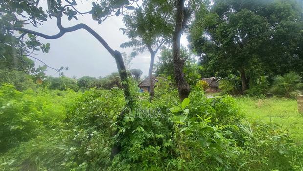 Land For Sale - thumbnail 2