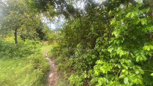 Land For Sale - thumbnail 3