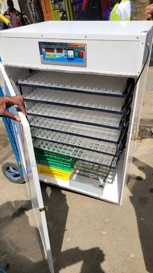 1056 Eggs Automatic Incubator
