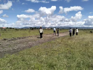 45*90 Plot For Sale In Malaa