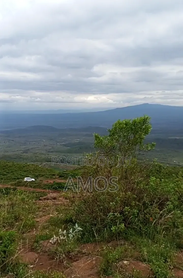 Ndeiya 10 Acres Quick Sale Ideal for Plots Subdivision