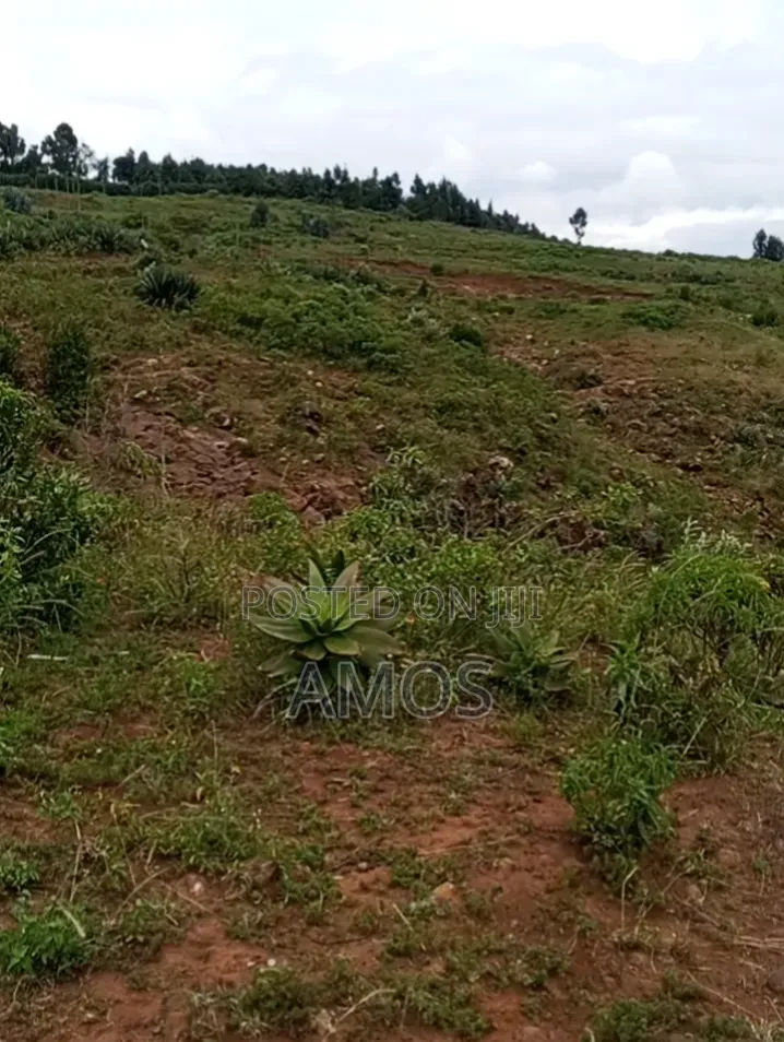 Ndeiya 10 Acres Quick Sale Ideal for Plots Subdivision