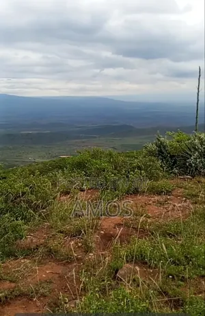 Ndeiya 10 Acres Quick Sale Ideal for Plots Subdivision
