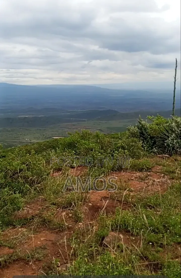 Ndeiya 10 Acres Quick Sale Ideal for Plots Subdivision