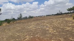 "Prime 5 Acres for Sale in Ruai – Ideal for All Development Projects.