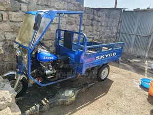 Skygo 2017 Blue