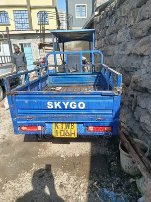 Skygo 2017 Blue