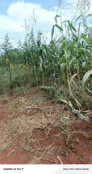 2acres at Wendano