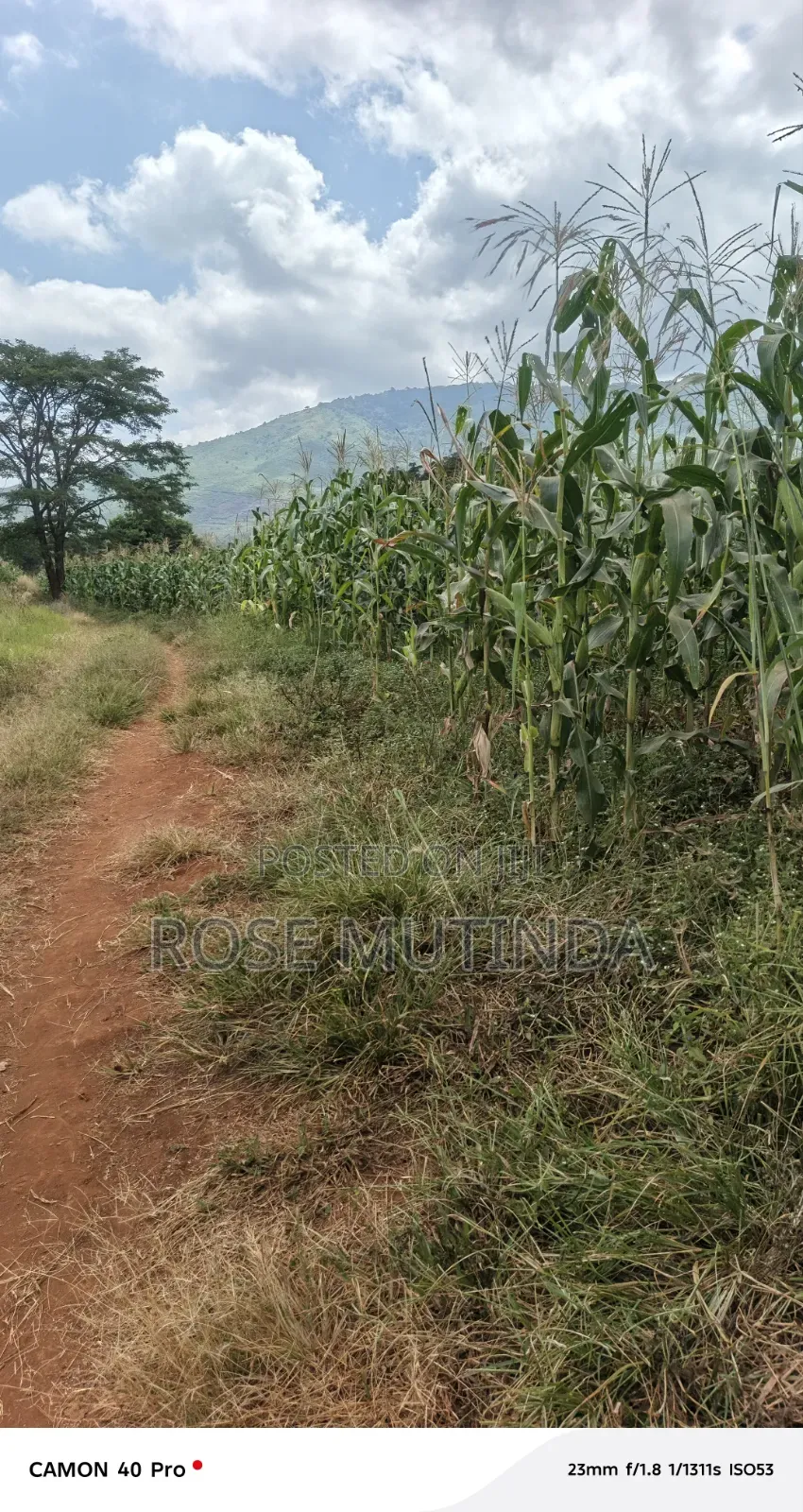 2acres at Wendano