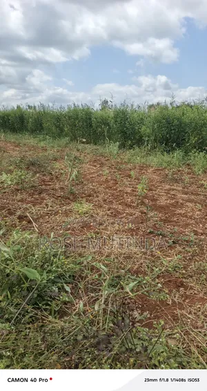 2acres at Wendano