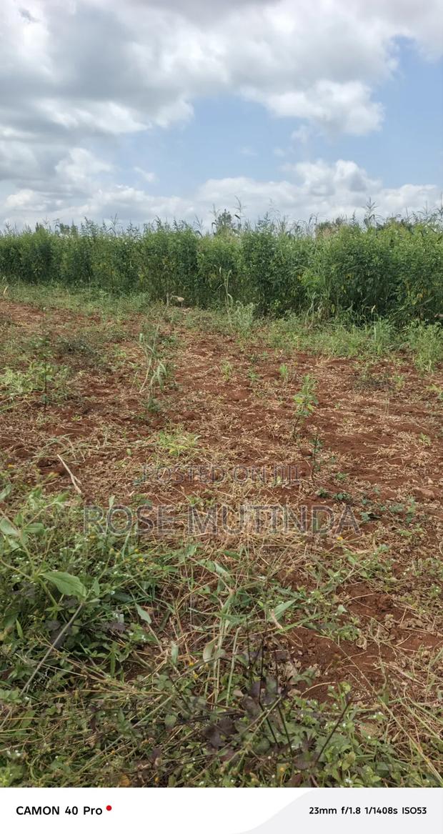 2acres at Wendano - thumbnail 4