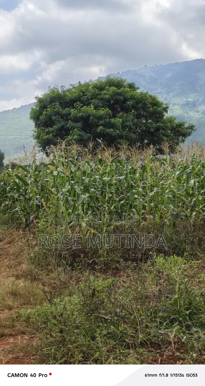 2acres at Wendano