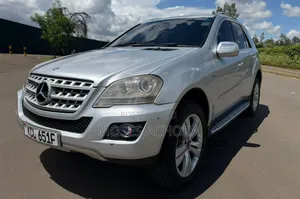 Mercedes-Benz M Class 2010 Silver