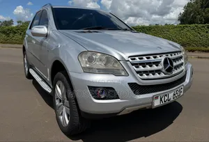 Mercedes-Benz M Class 2010 Silver