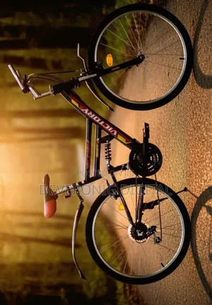 Victory MTB Bike With Shox and Gear