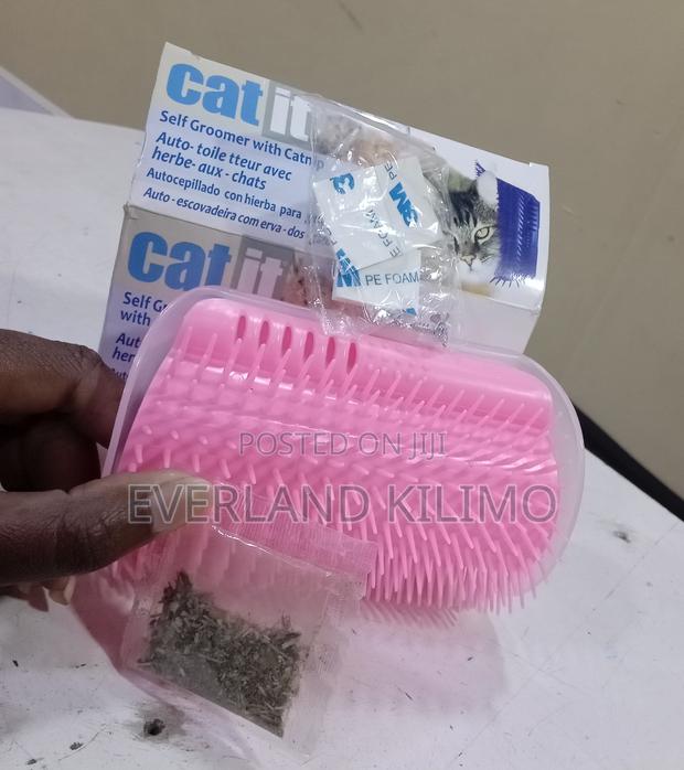 Cat Self Groomer, Wall Corner Massage Comb Grooming Brush With Catnip
