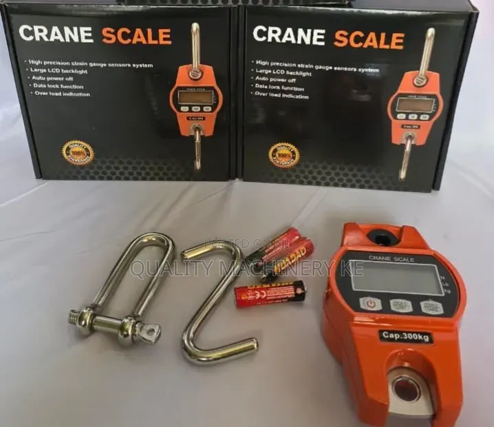 300kgs Crane /Hanging Scales