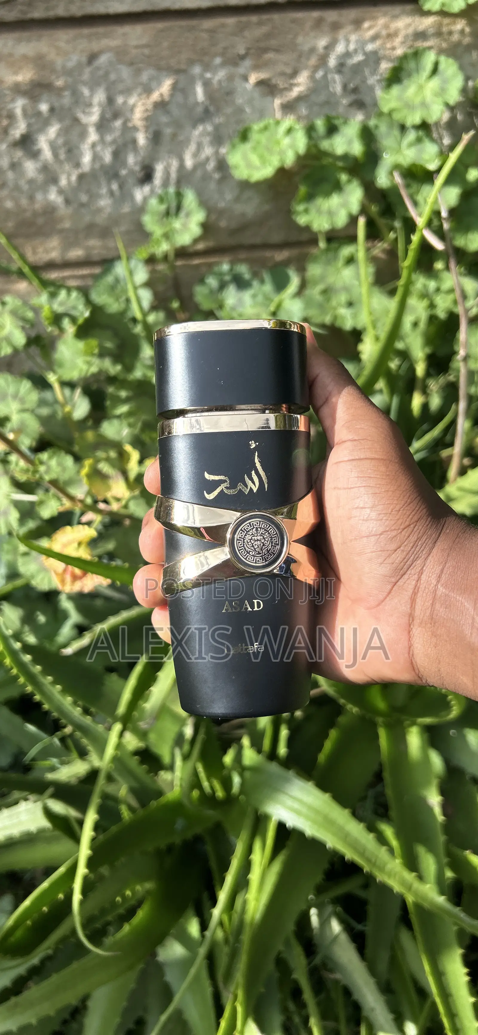 Arabicperfumes Oud-30ml/100mlwholesale Retaillong Lasting Luxuryscents