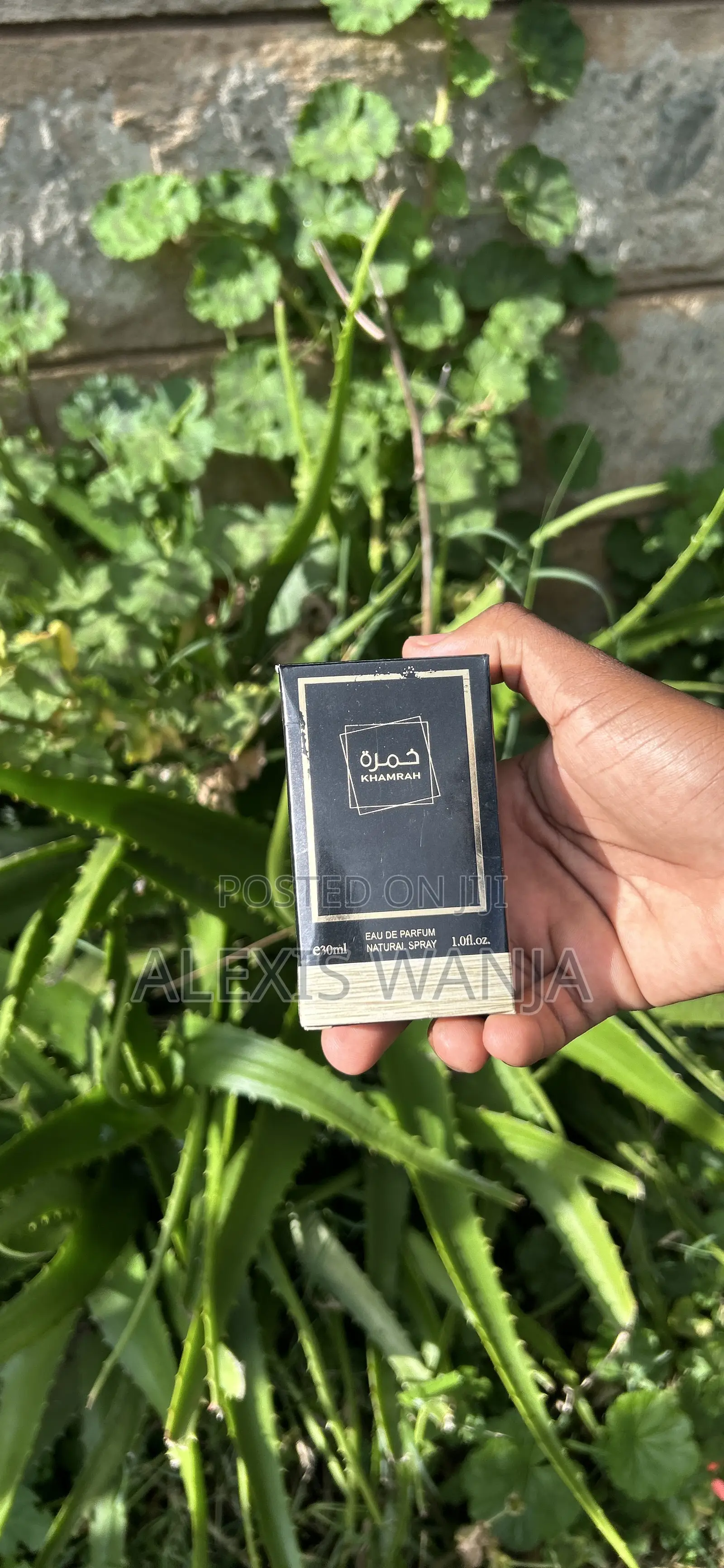 Arabicperfumes Oud-30ml/100mlwholesale Retaillong Lasting Luxuryscents