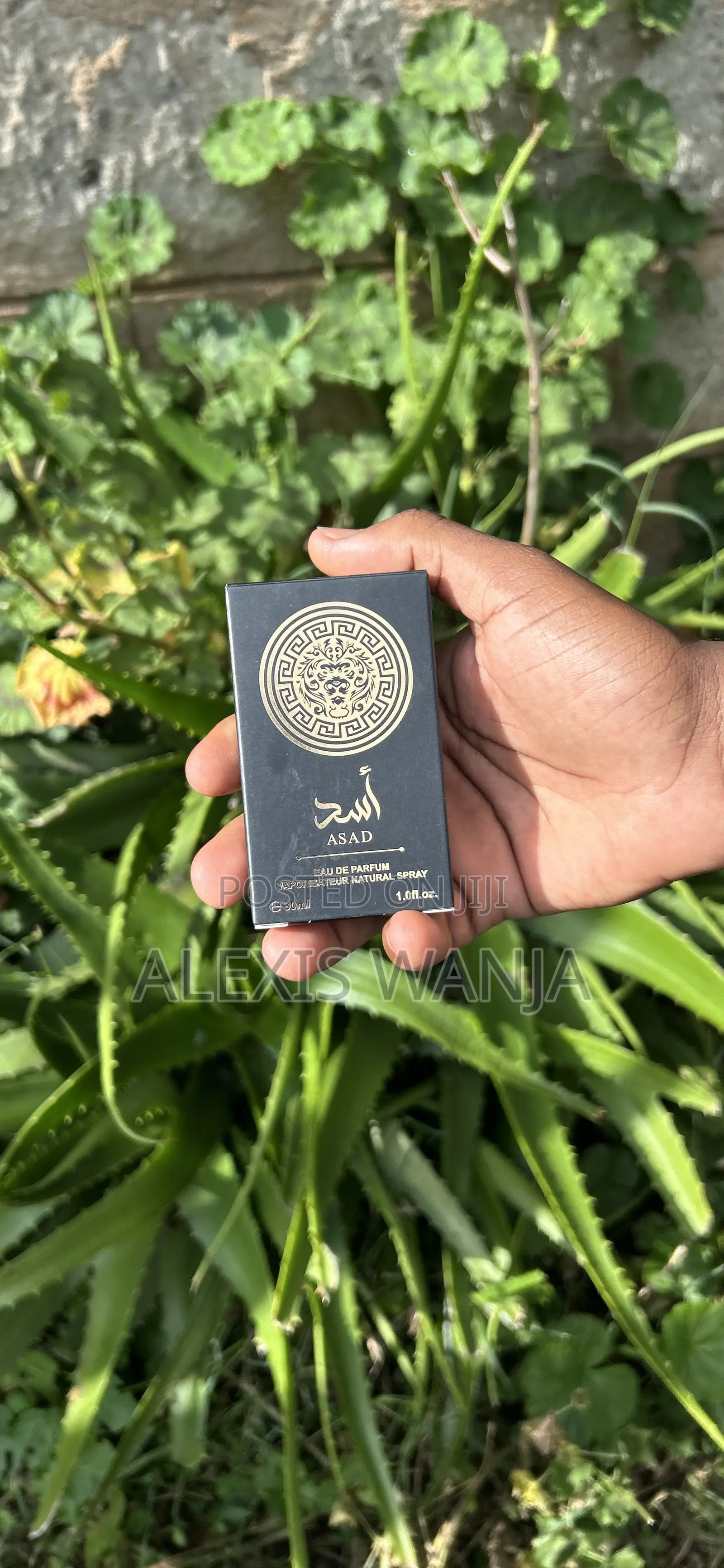 Arabicperfumes Oud-30ml/100mlwholesale Retaillong Lasting Luxuryscents
