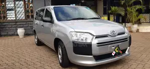 Toyota Probox 1.3 DX 2WD 2019 Silver