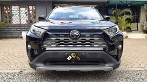 Toyota RAV4 XLE Premium AWD 2019 Black