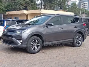 Toyota RAV4 2019 Gray