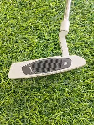 Taylormade Raylor Ghost Putter In 34 Inches