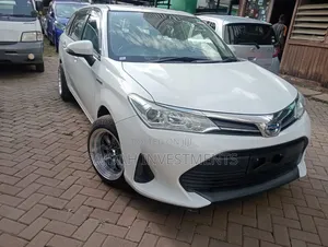 Toyota Corolla Fielder 2019 White