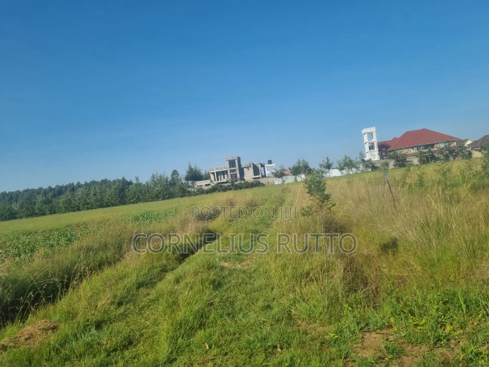 1/4 Acre Plots on Sale Elgon View