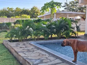 Furnished 3bdrm Villa in Rmk, Diani for sale