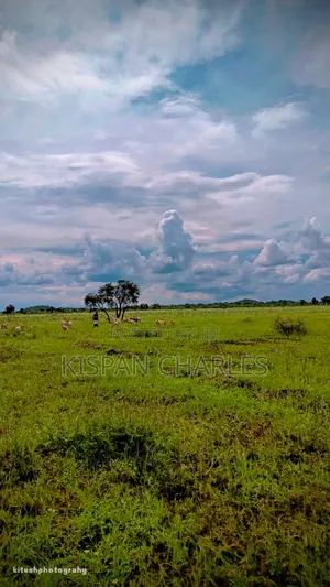 Ready Title 31acres Imbirikani Land