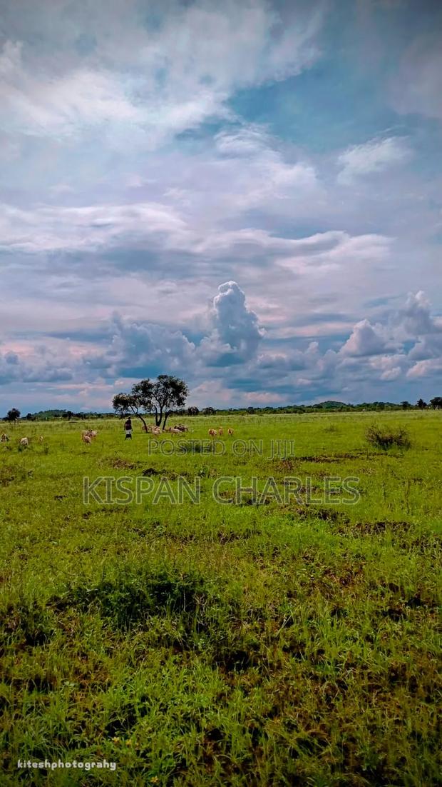 Ready Title 31acres Imbirikani Land - thumbnail 3