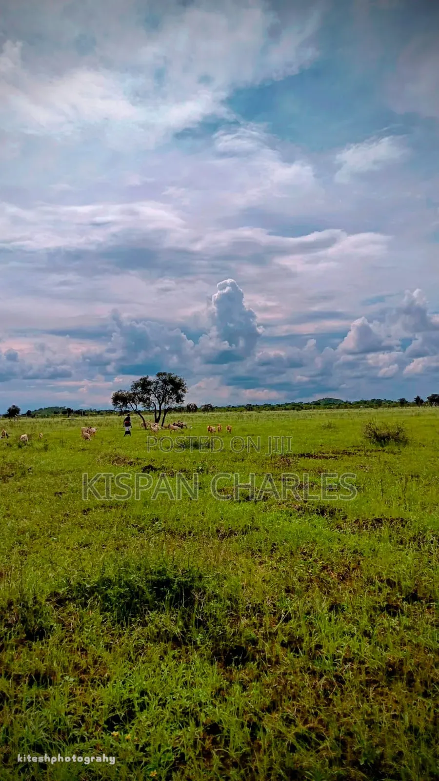 Ready Title 31acres Imbirikani Land