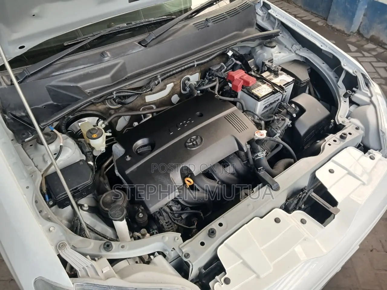 Toyota Succeed 2019 White