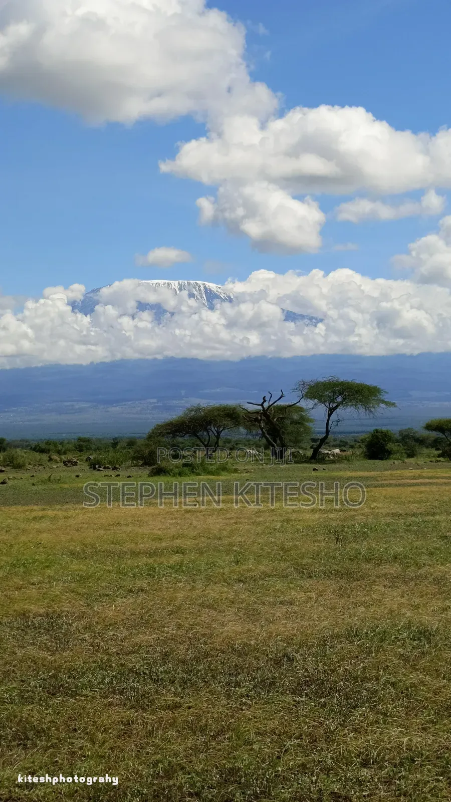 Ready Title 31acres Imbrrikani Land 4,650,000