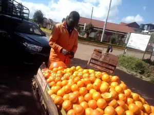 Eden Fruits