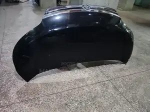 Bonnet Toyota Spade 2015