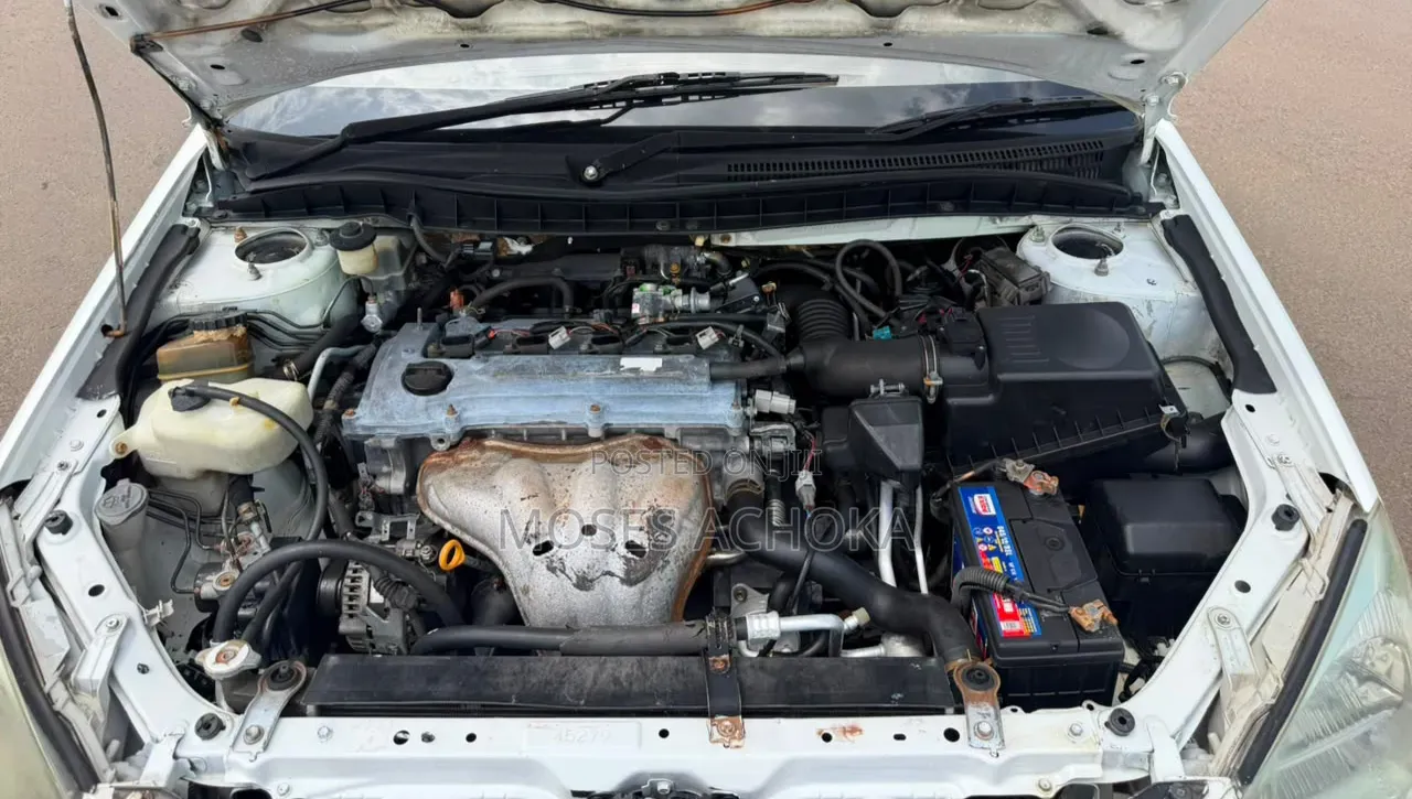 Toyota Premio 2005 White