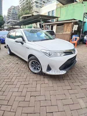 Toyota Corolla Fielder 2019 White
