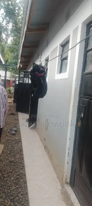 Furnished 1bdrm House in East Kamagambo for sale