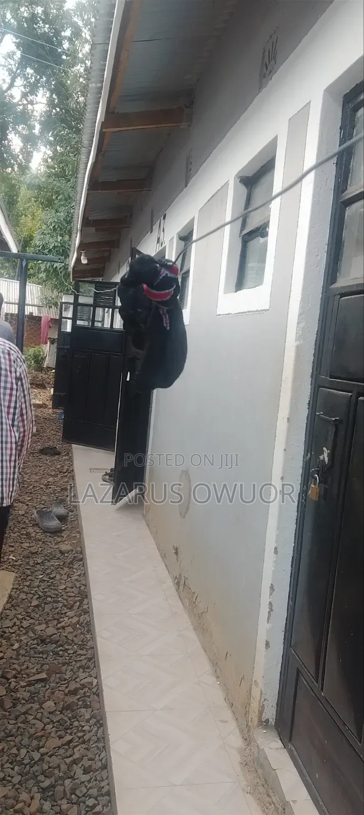 Furnished 1bdrm House in East Kamagambo for sale