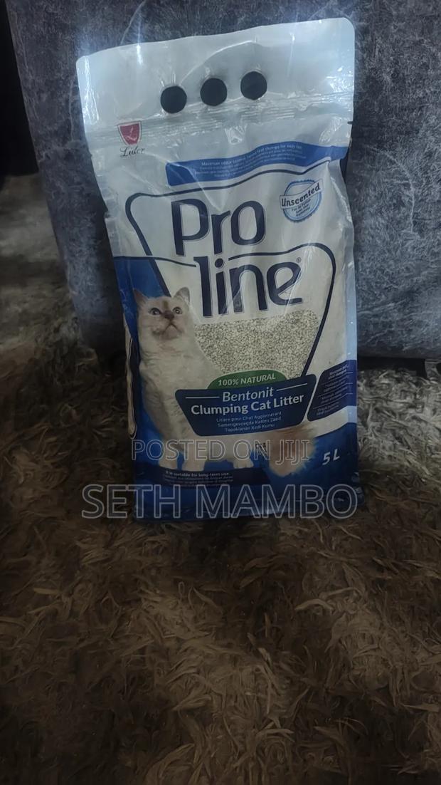 Proline Bentonit Clumping Cat Litter
