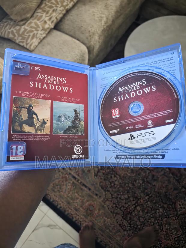 Assassin's Creed Shadow