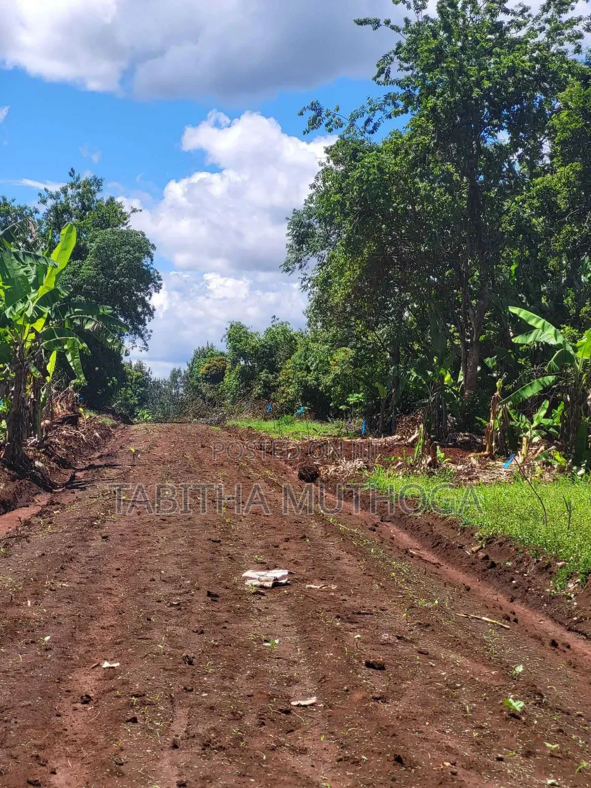 1/8 of an Acre in Murang'A