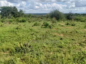 Prime Land for Sale in Embu County – Farming Investment Opportunity