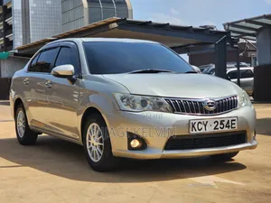 Toyota Axio 2012 Gold