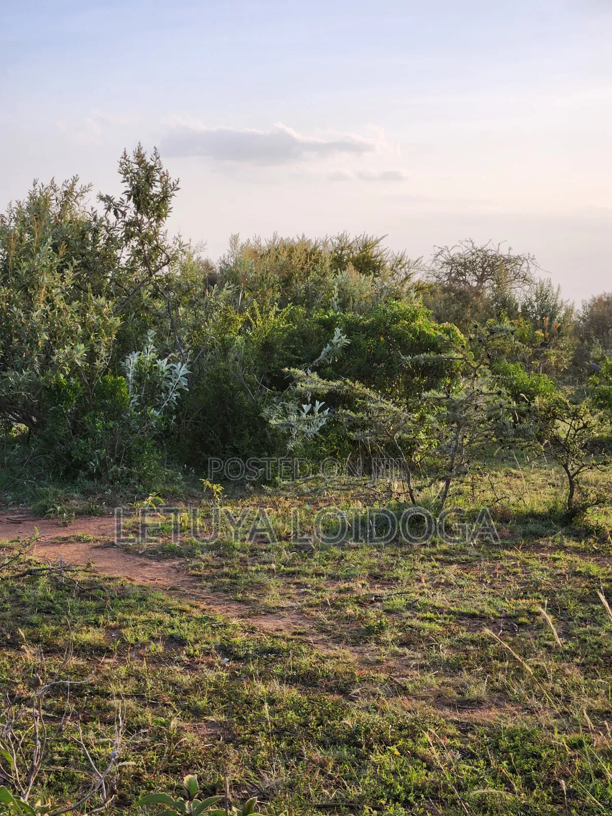Prime 1 Acre Ngong-Kimuka