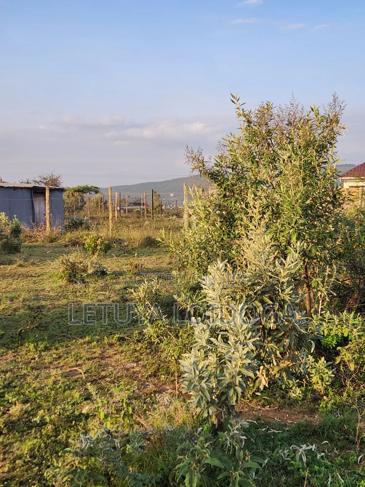 Prime 1 Acre Ngong-Kimuka
